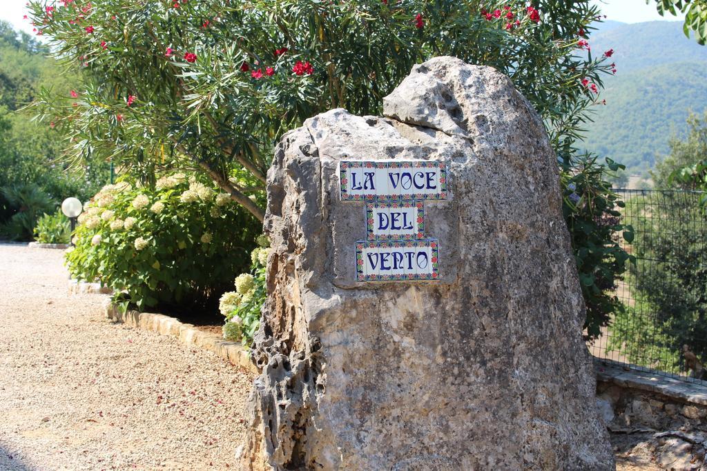 Villa La Voce Del Vento Pastena  Eksteriør billede